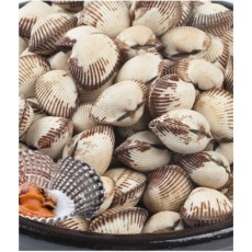 남해안 새꼬막2kg(180-200미)