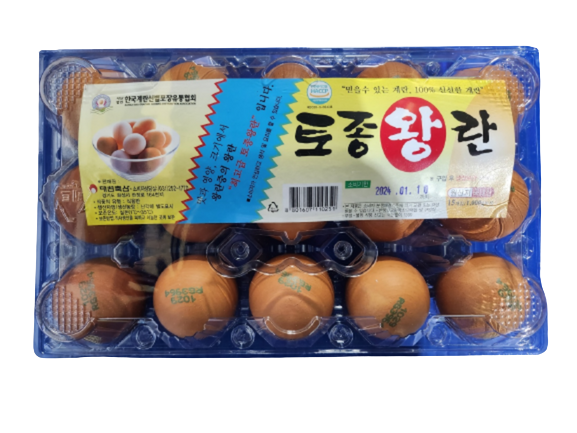 토종왕란15구