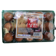 정성특란15구