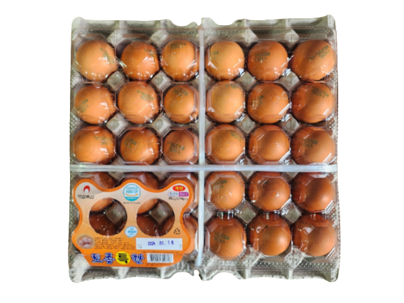 토종특란 2판