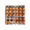 토종특란 2판
