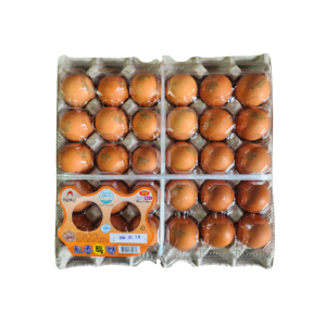 토종특란 2판