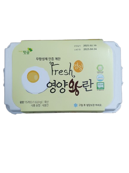 텃골 무항생제 영양왕란15구
