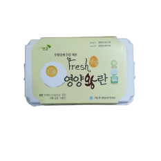 텃골 무항생제 영양왕란15구